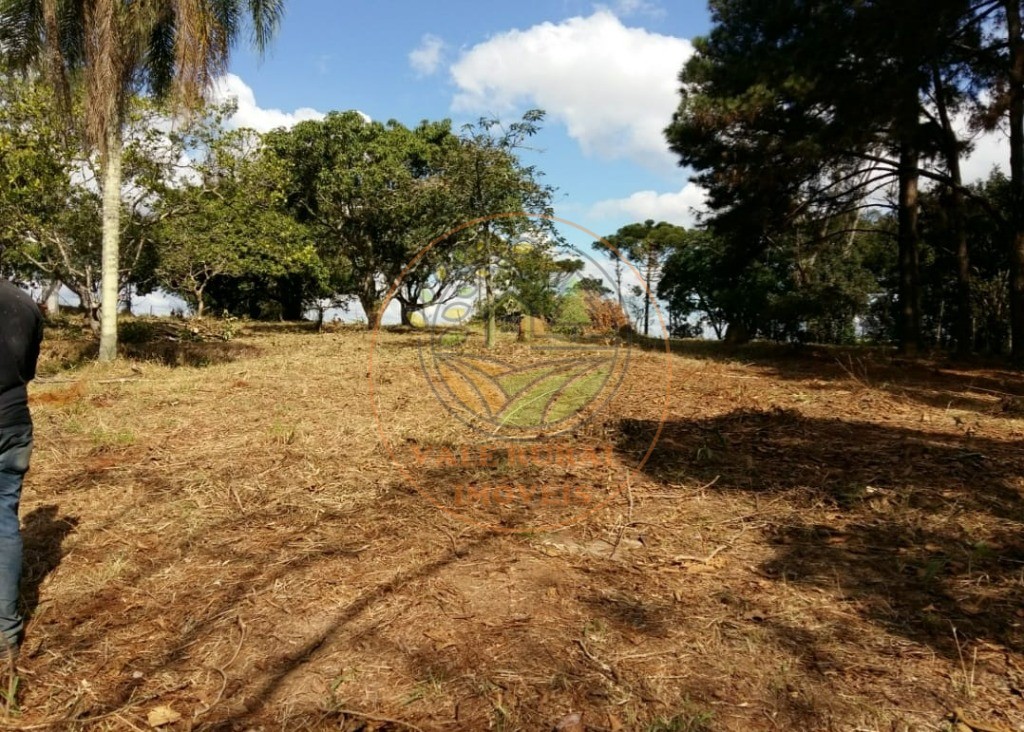 Fazenda - Foto 13