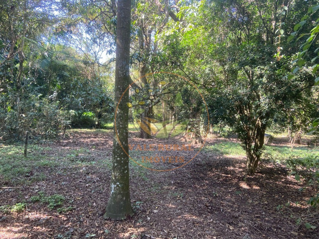 Chácara, 4 quartos - Foto 25
