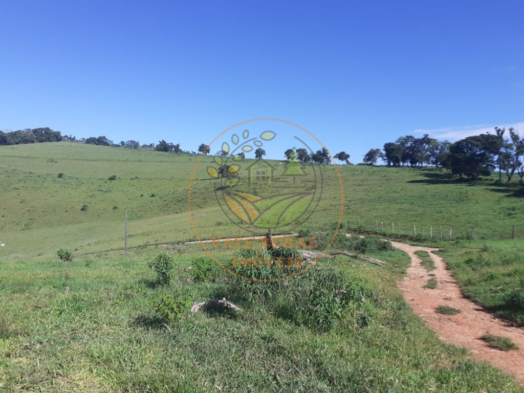 Fazenda - Foto 14