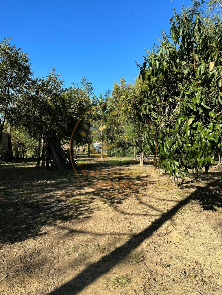 Chácara, 3 quartos, 5000 m² - Foto 92