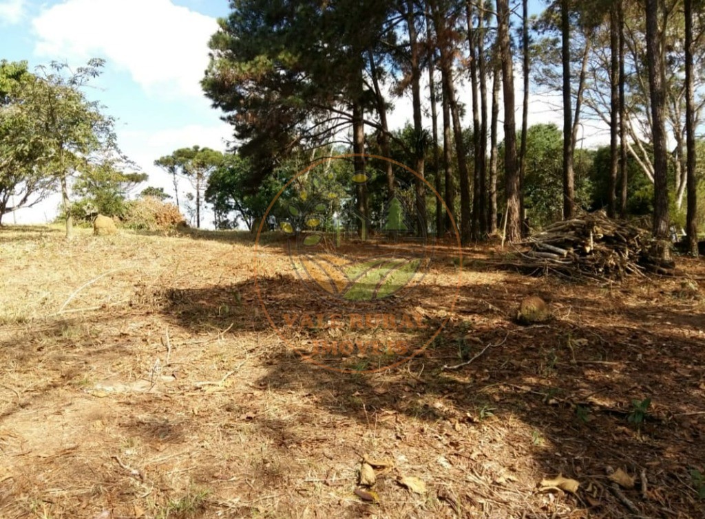 Fazenda - Foto 8