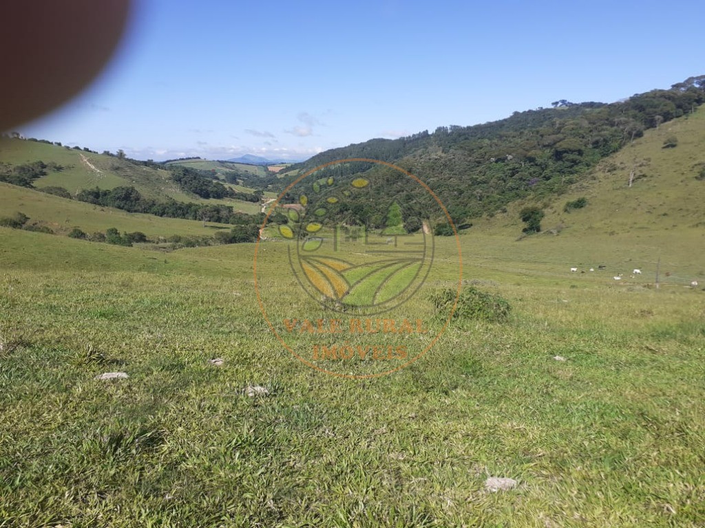 Fazenda - Foto 10