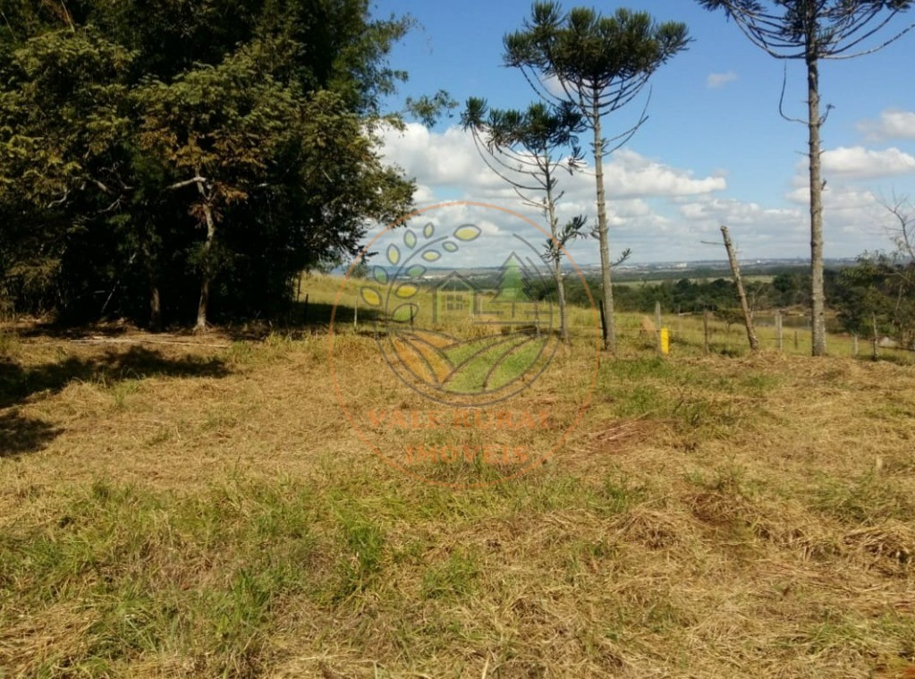 Fazenda - Foto 5
