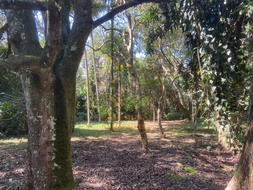 Chácara, 4 quartos - Foto 30
