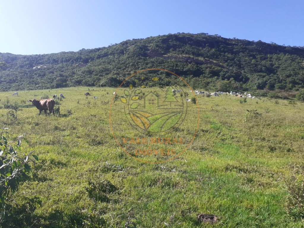 Fazenda - Foto 8