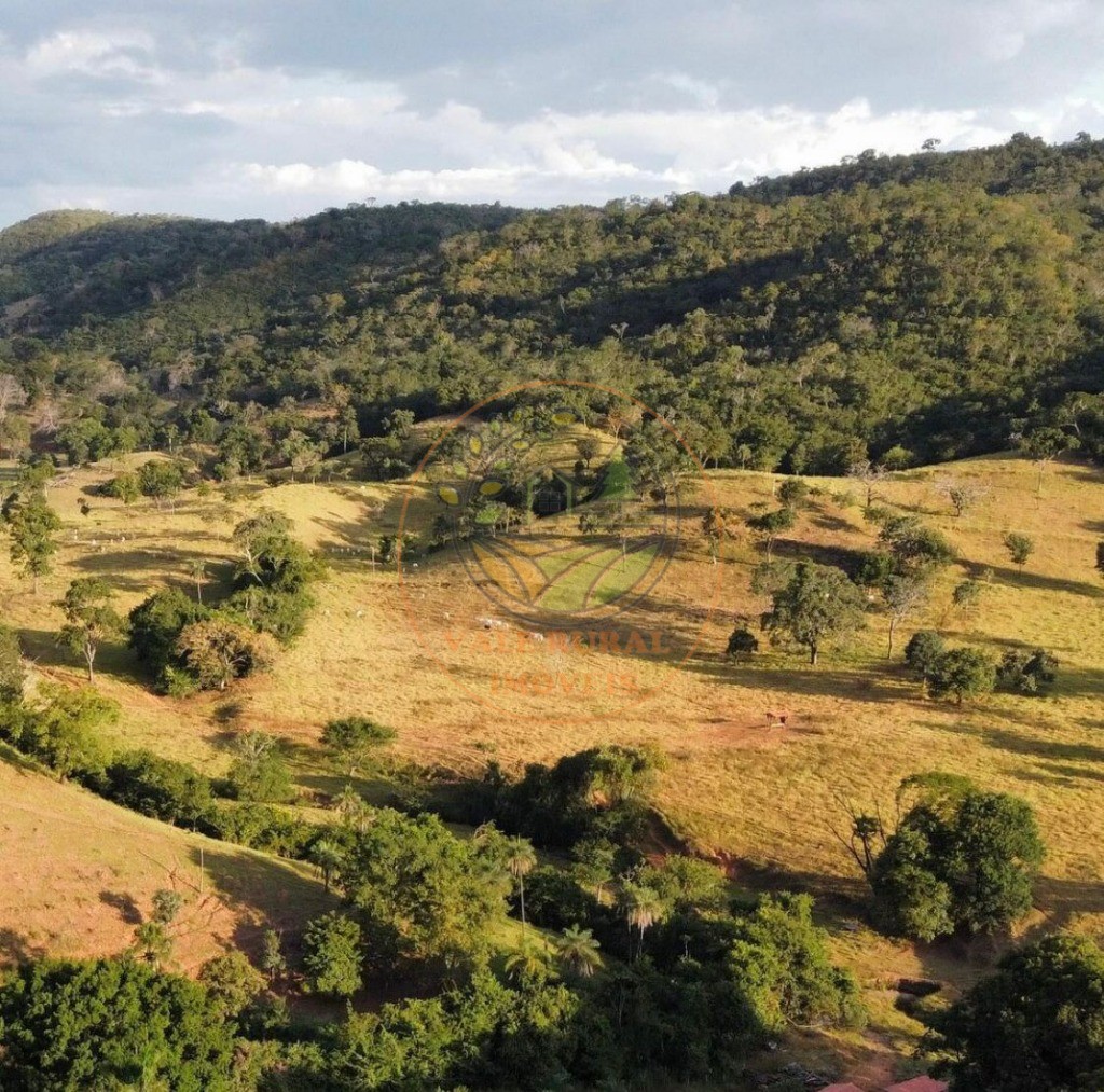 Fazenda - Foto 16