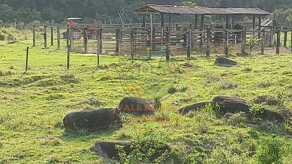 Fazenda - Foto 2