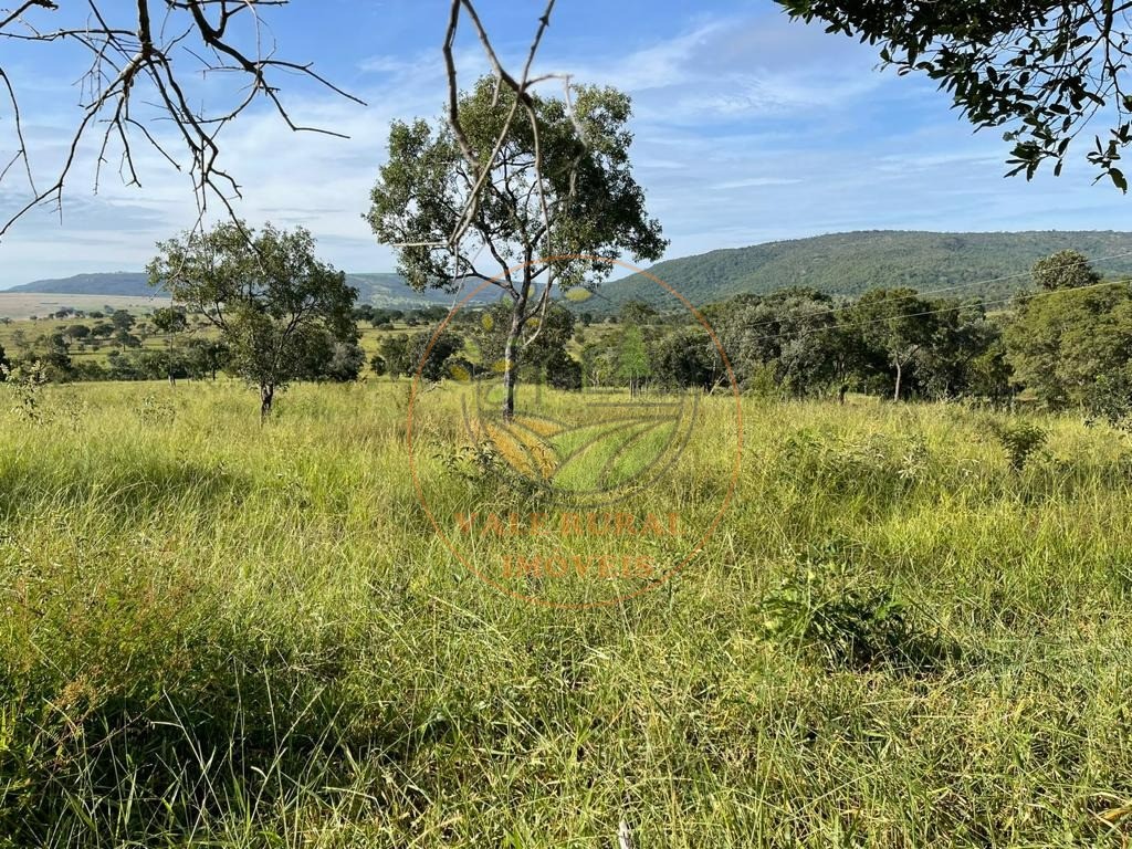 Fazenda - Foto 7