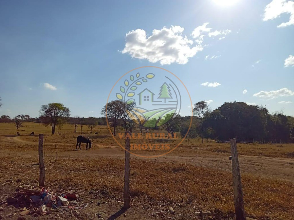 Fazenda - Foto 11