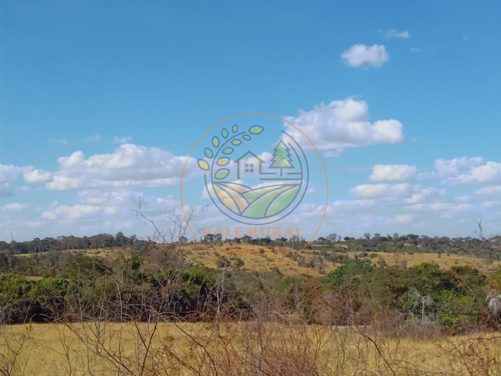 Fazenda - Foto 22