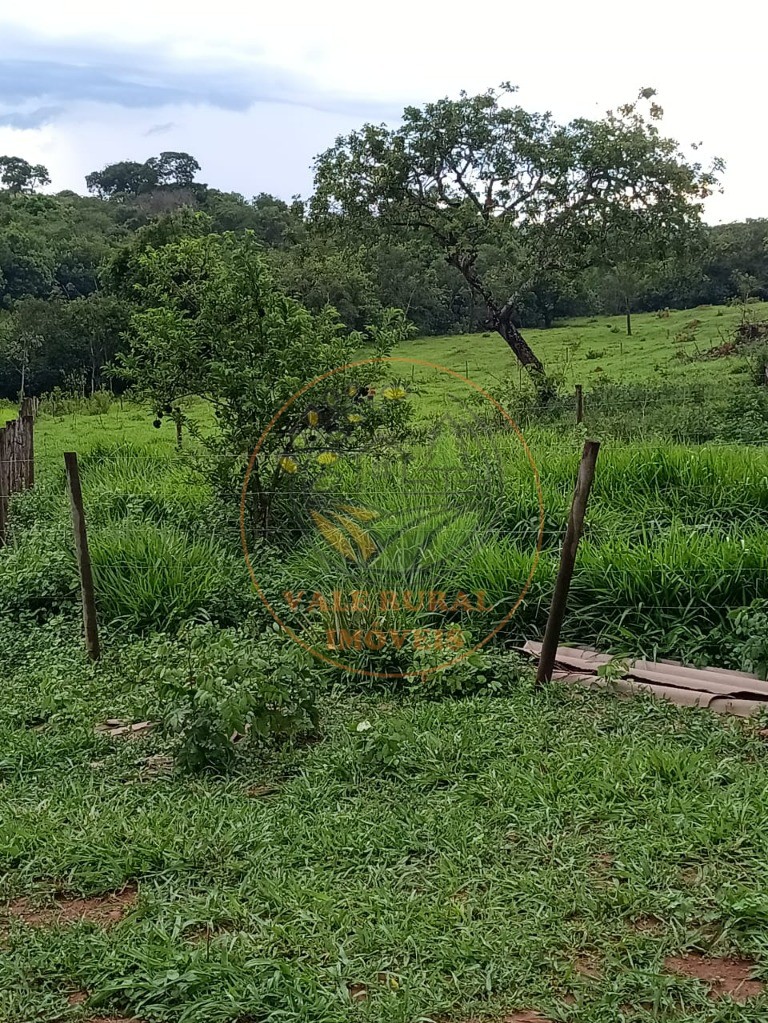 Fazenda - Foto 9