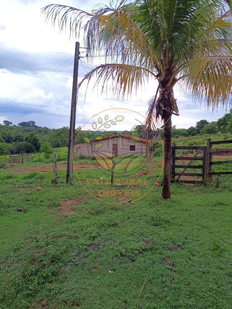 Fazenda - Foto 2