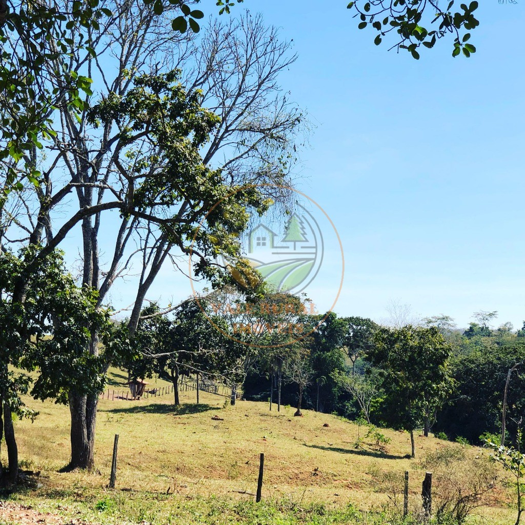 Fazenda - Foto 28