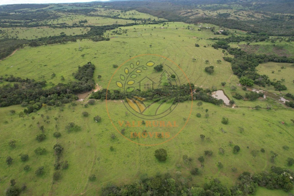 Fazenda - Foto 19