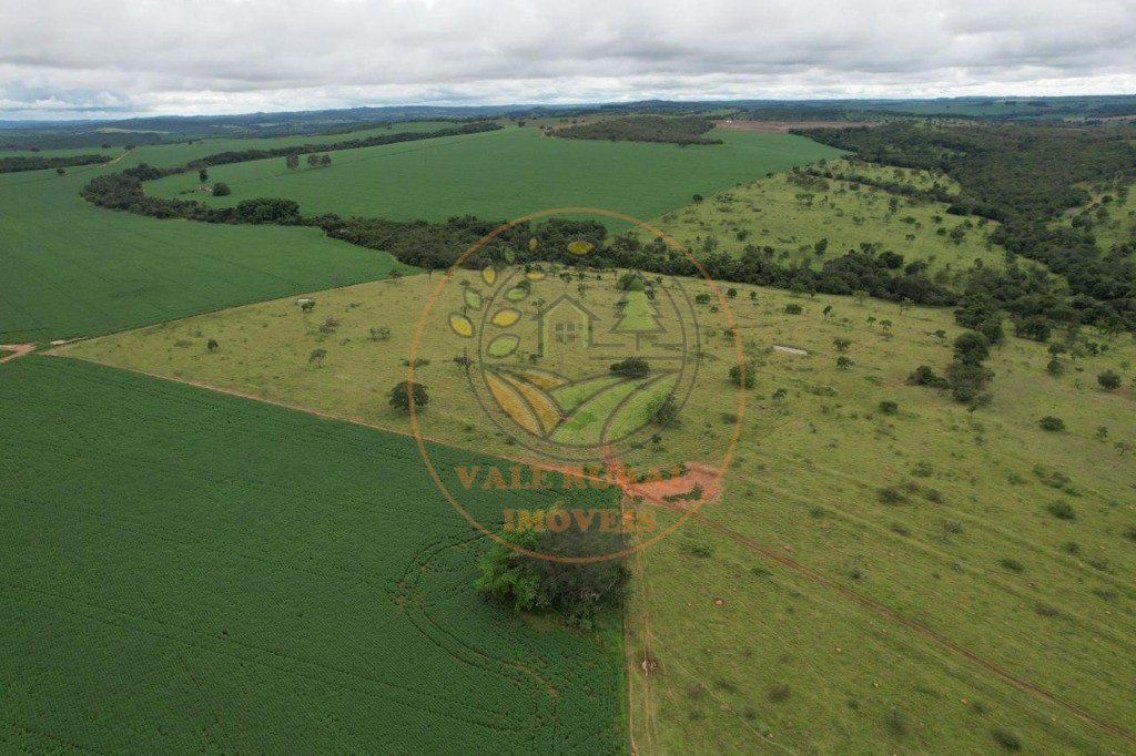 Fazenda - Foto 14