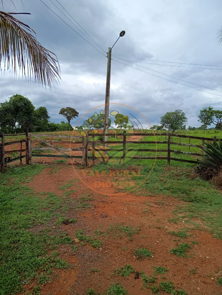 Fazenda - Foto 4