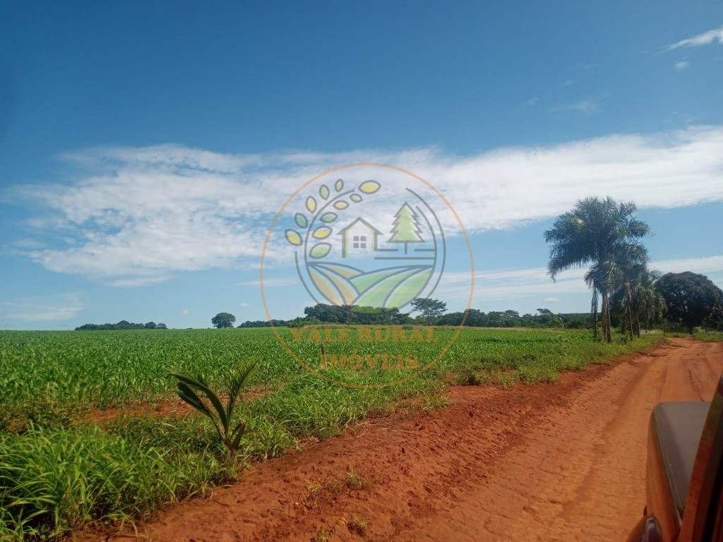 Fazenda - Foto 12