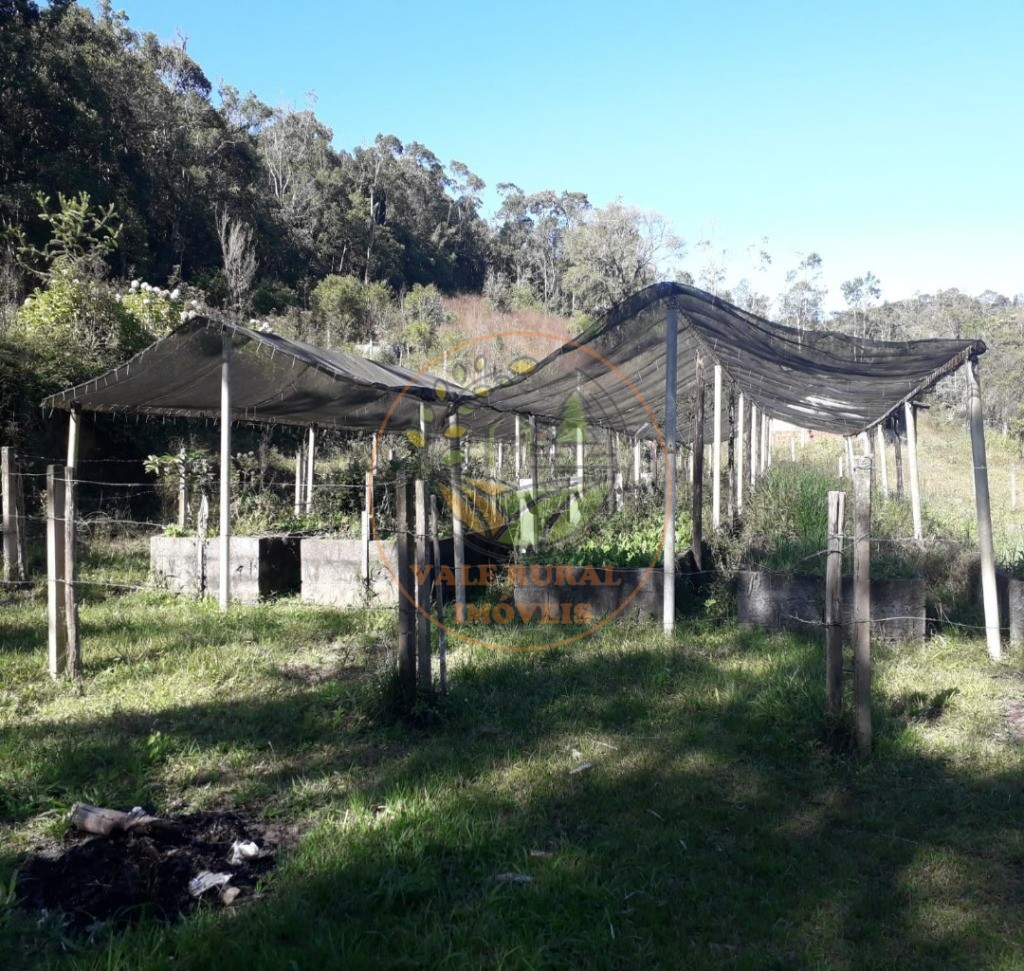 Sítio, 2 quartos - Foto 8