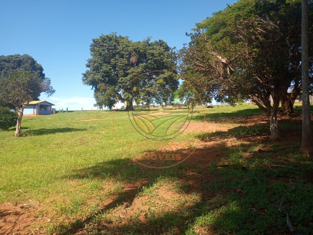 Fazenda - Foto 10