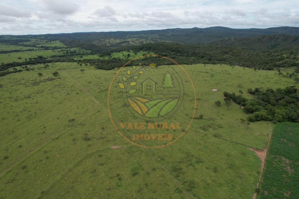 Fazenda - Foto 11