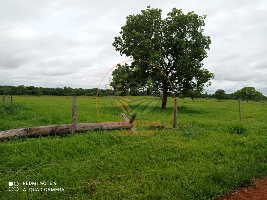 Fazenda, 5 quartos - Foto 6