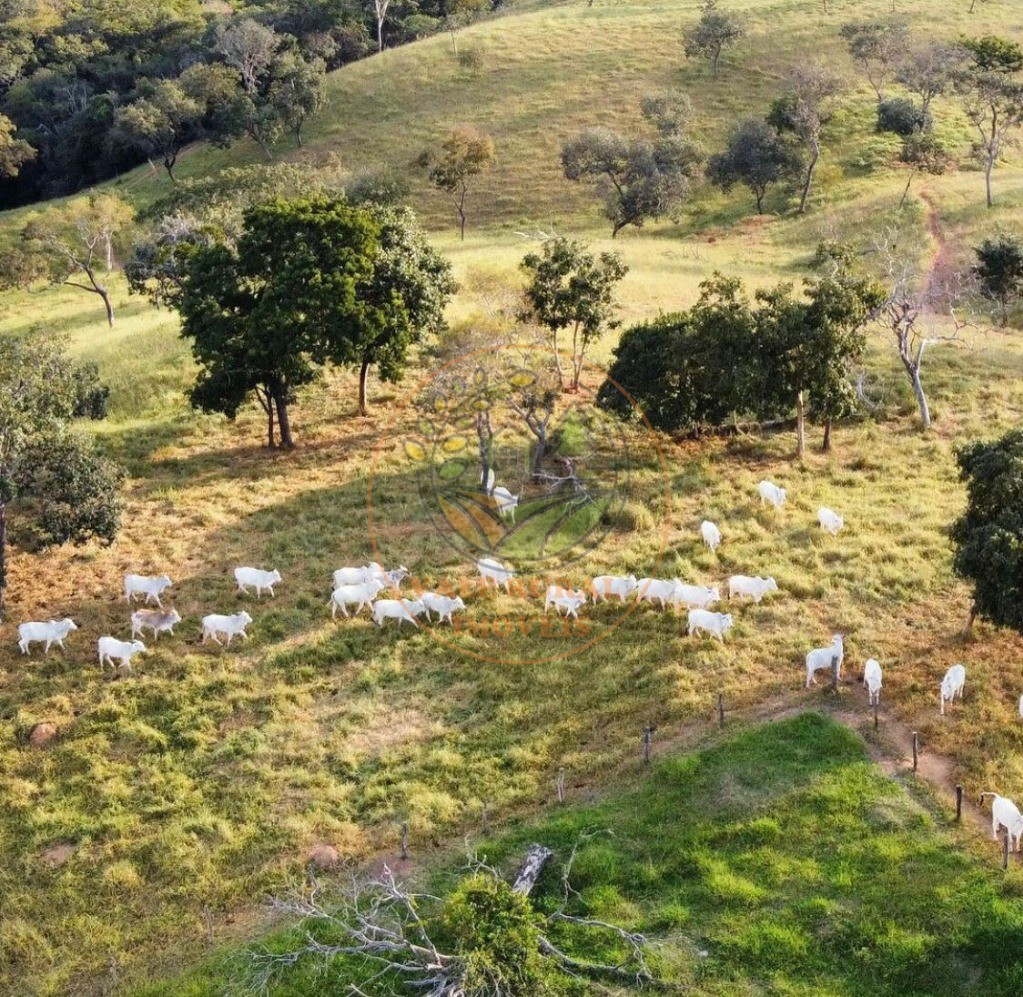 Fazenda - Foto 20