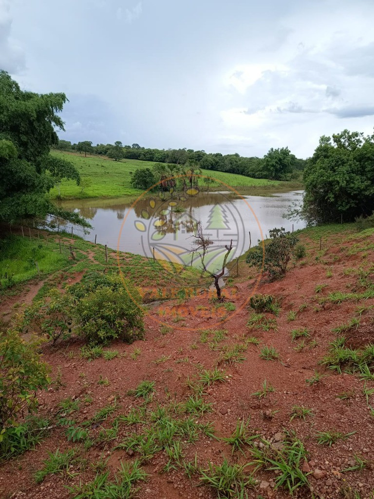 Fazenda - Foto 19