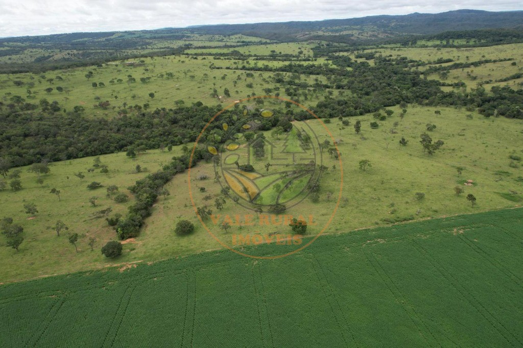 Fazenda - Foto 20