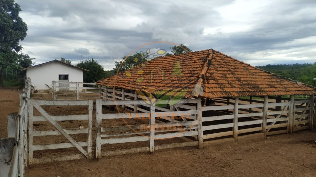 Fazenda - Foto 7