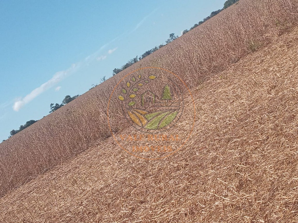 Fazenda - Foto 16