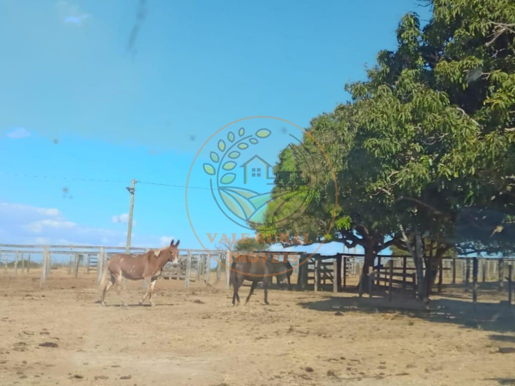 Fazenda - Foto 17