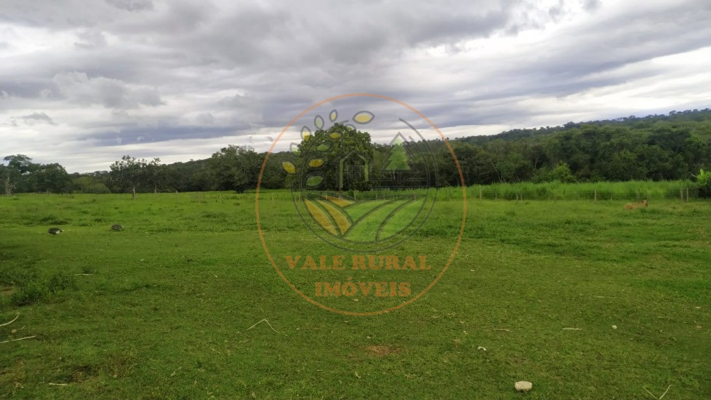 Fazenda - Foto 1