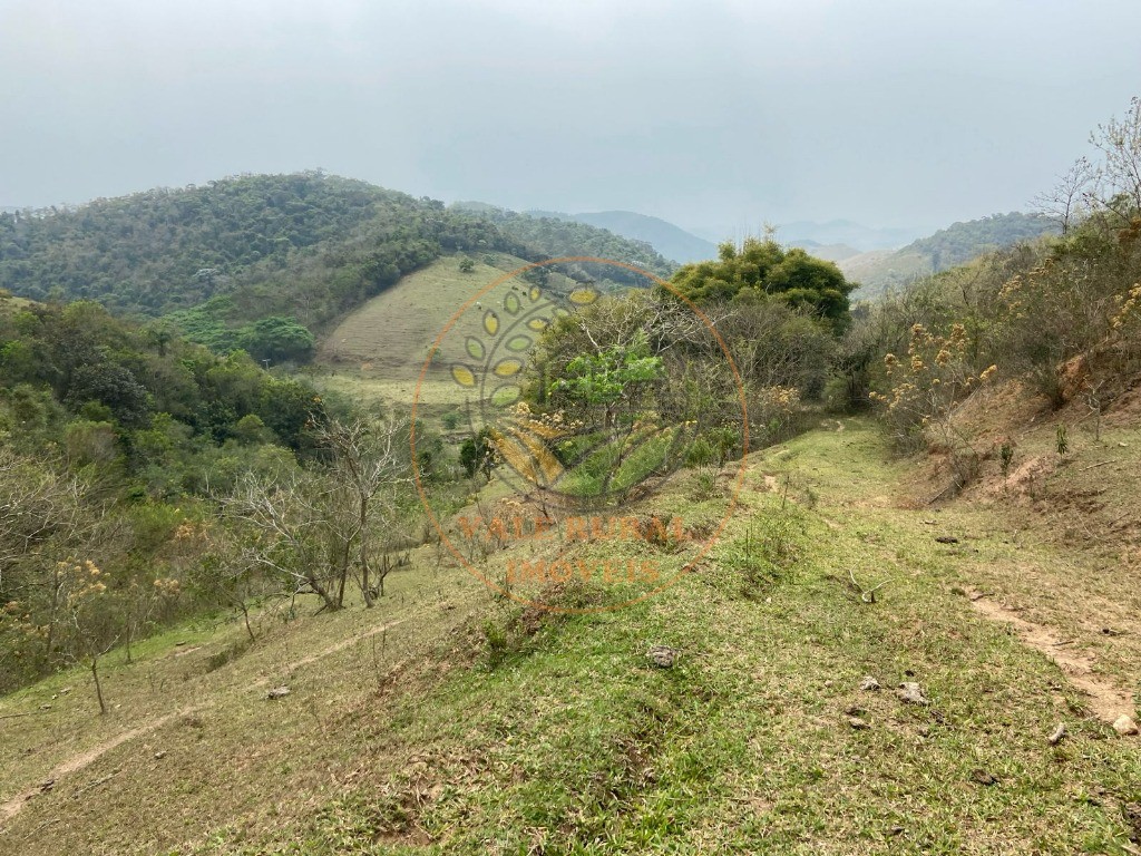 Fazenda - Foto 4