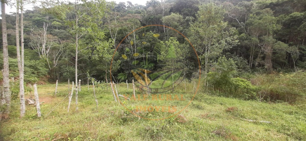 Fazenda - Foto 6