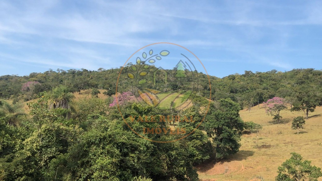 Fazenda - Foto 22