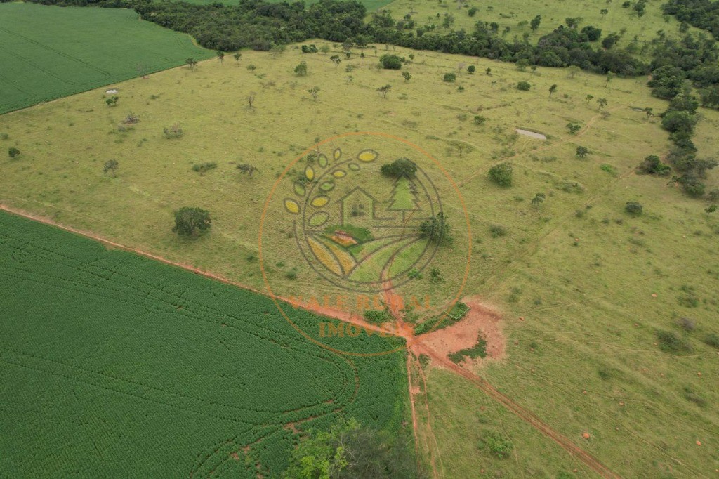 Fazenda - Foto 17