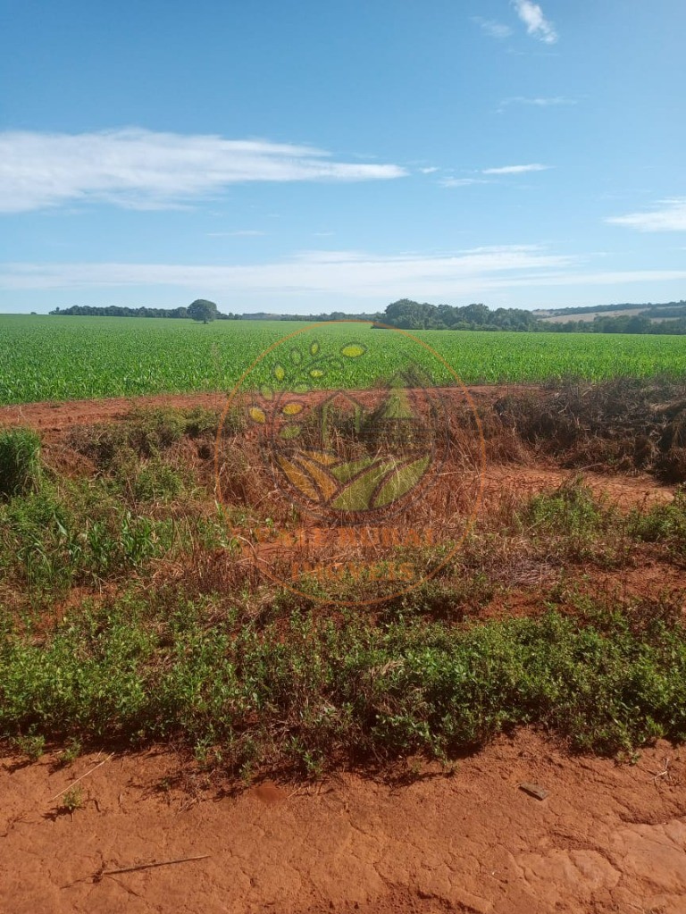 Fazenda - Foto 8