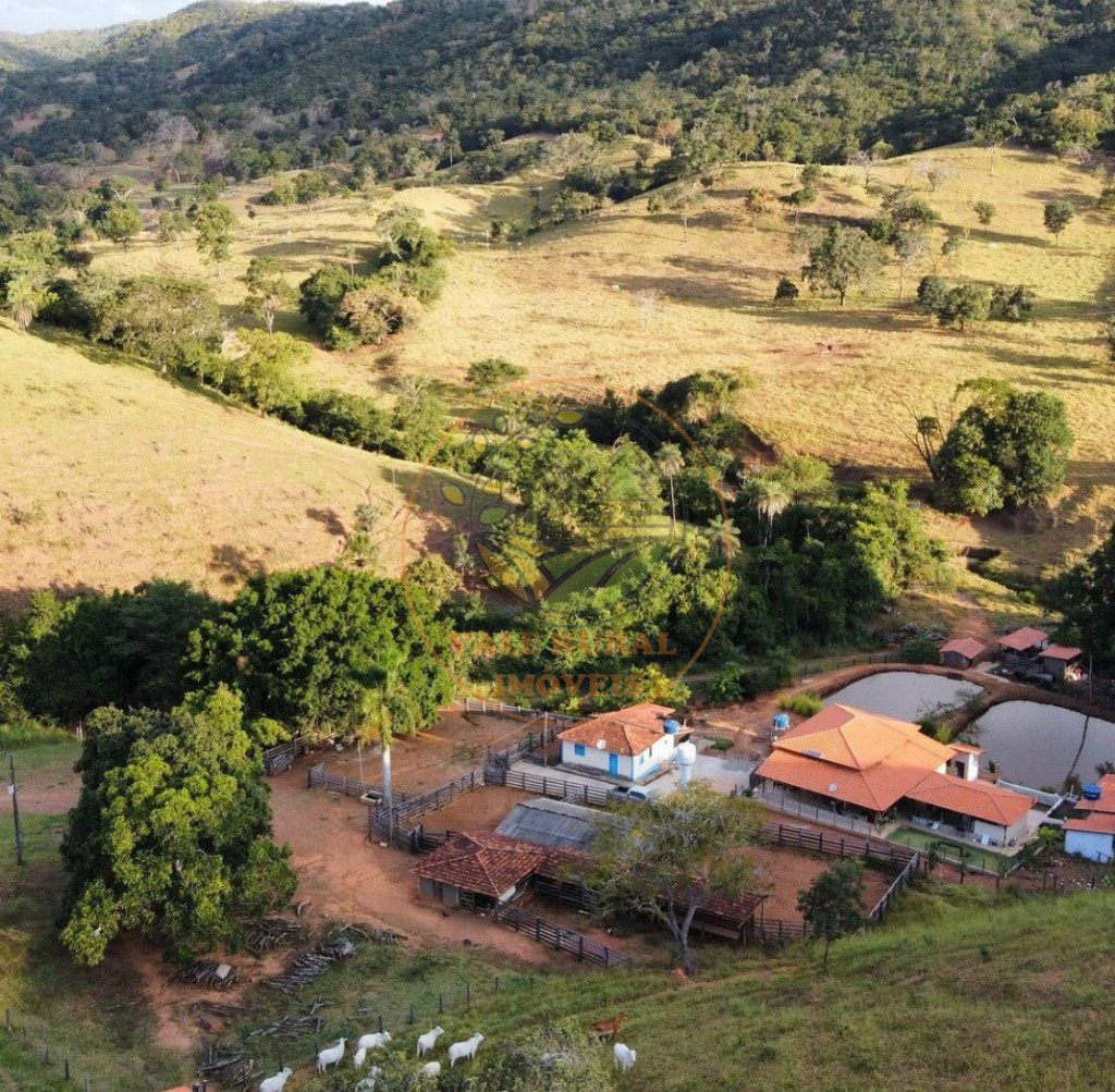 Fazenda - Foto 6