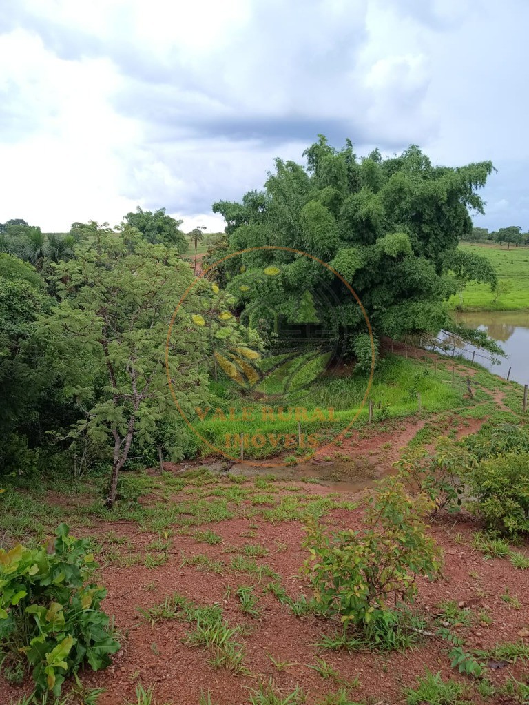 Fazenda - Foto 23