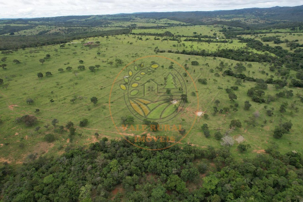 Fazenda - Foto 15