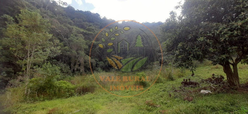 Fazenda - Foto 10