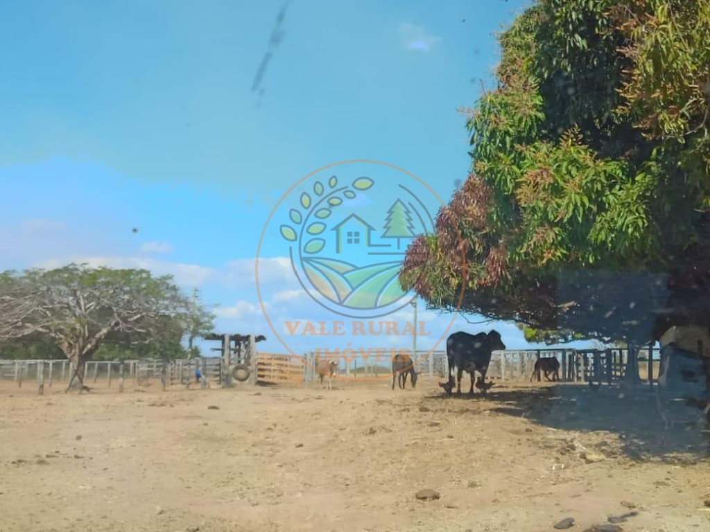 Fazenda - Foto 18