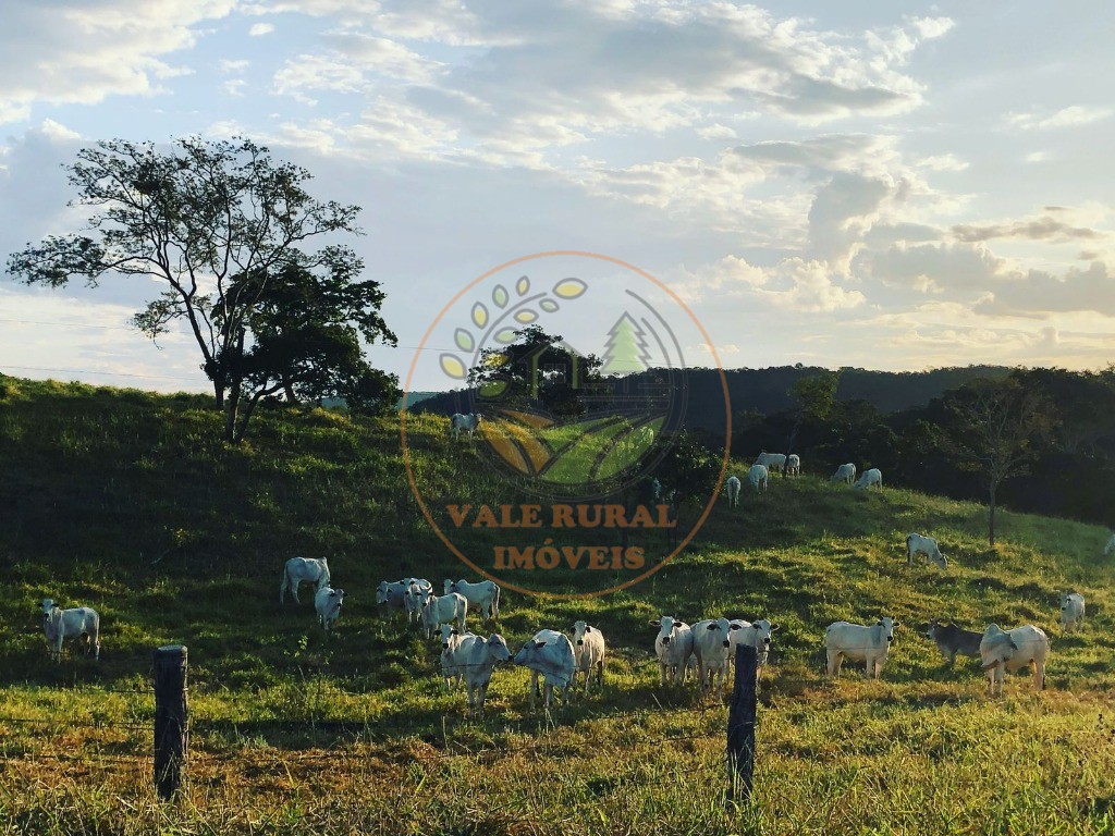 Fazenda - Foto 18
