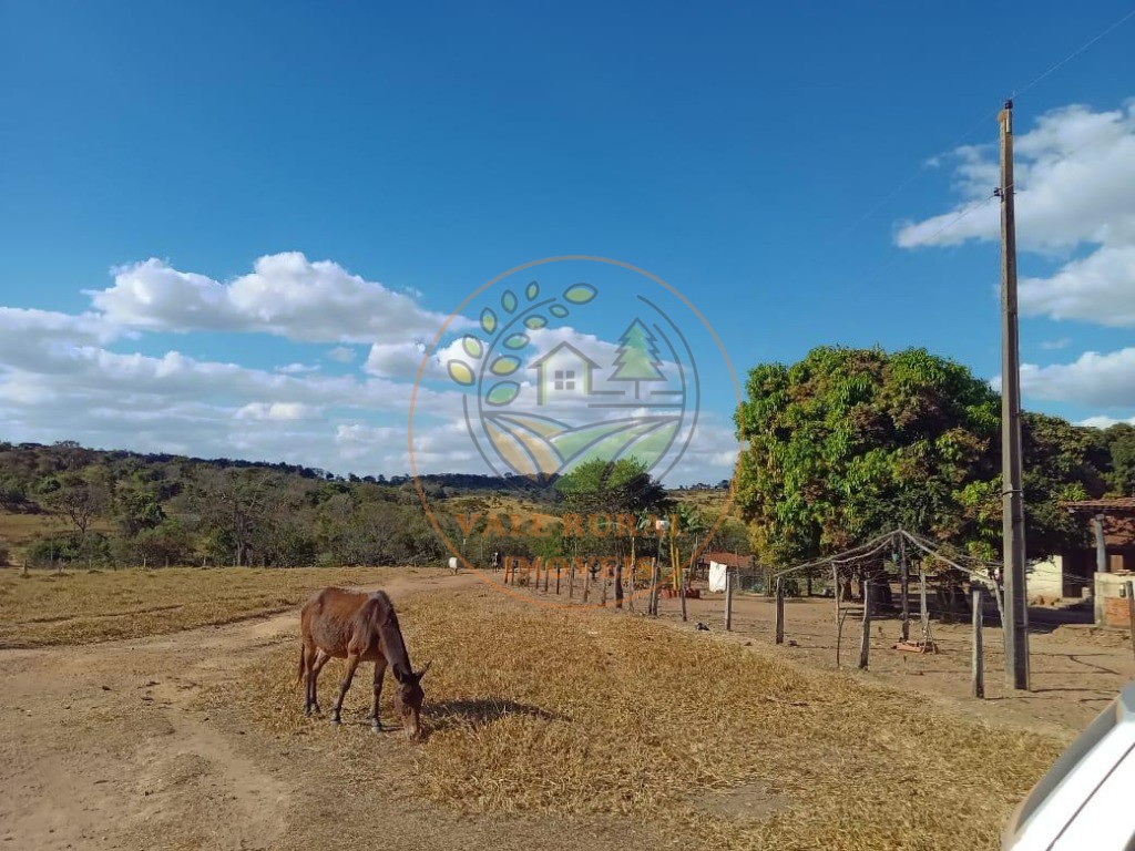 Fazenda - Foto 12