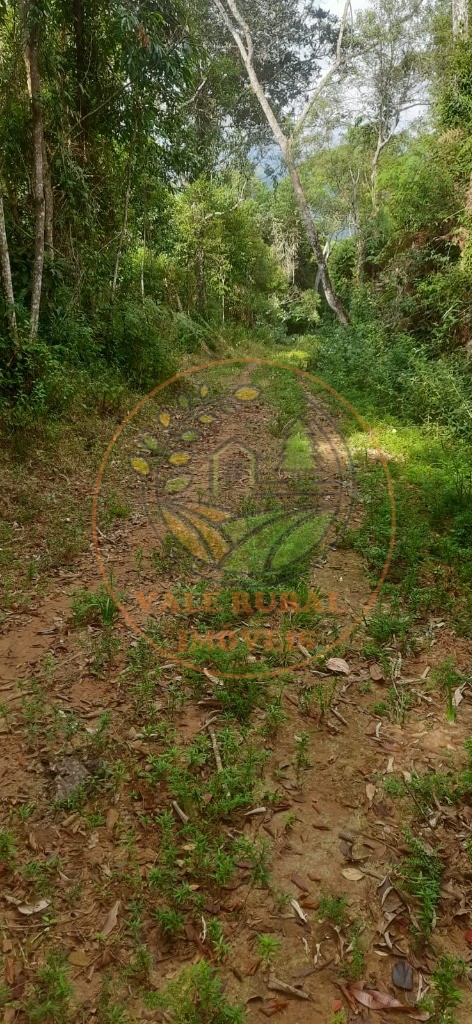 Fazenda - Foto 15