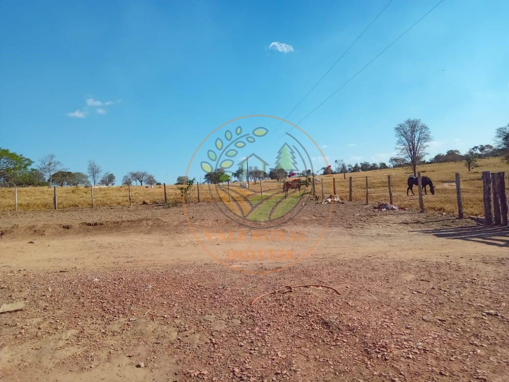 Fazenda - Foto 14