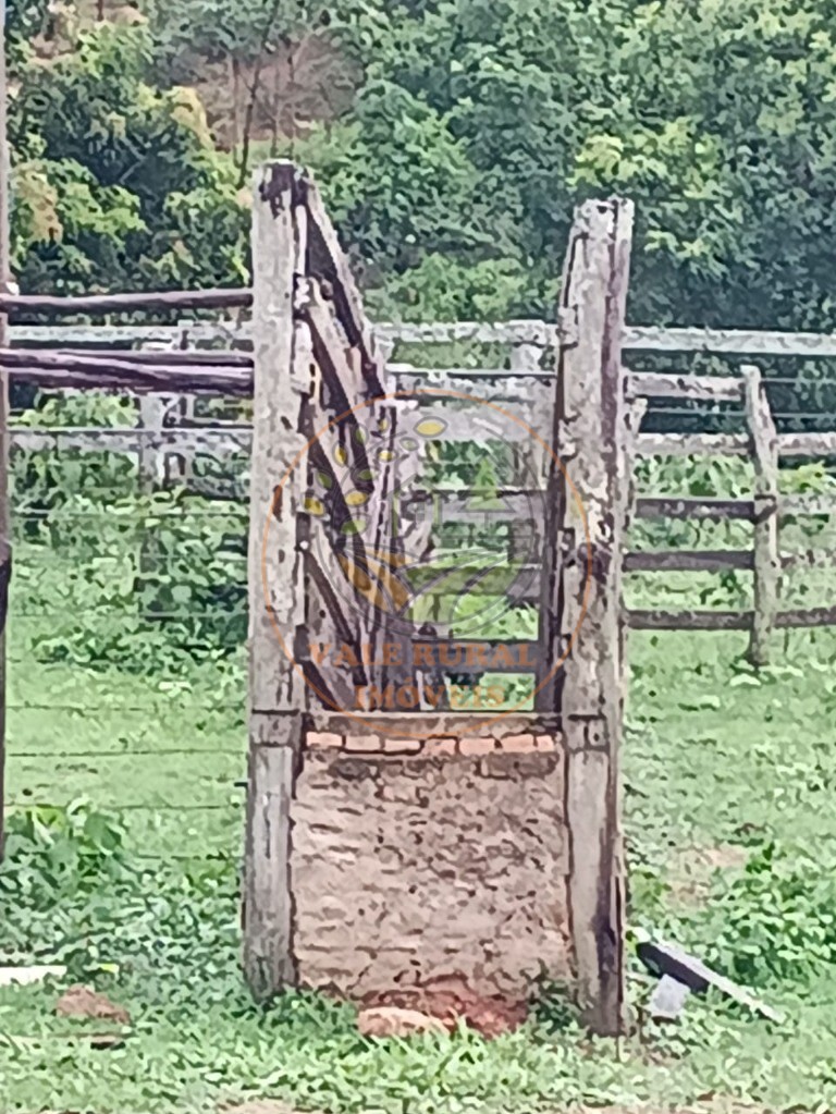 Fazenda - Foto 11