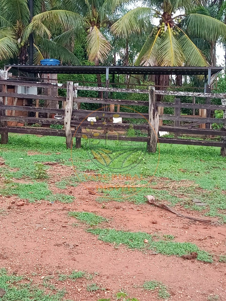 Fazenda - Foto 15