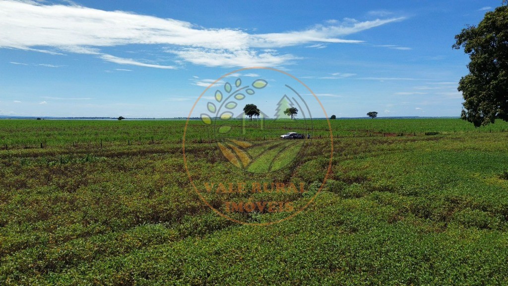 Fazenda - Foto 26