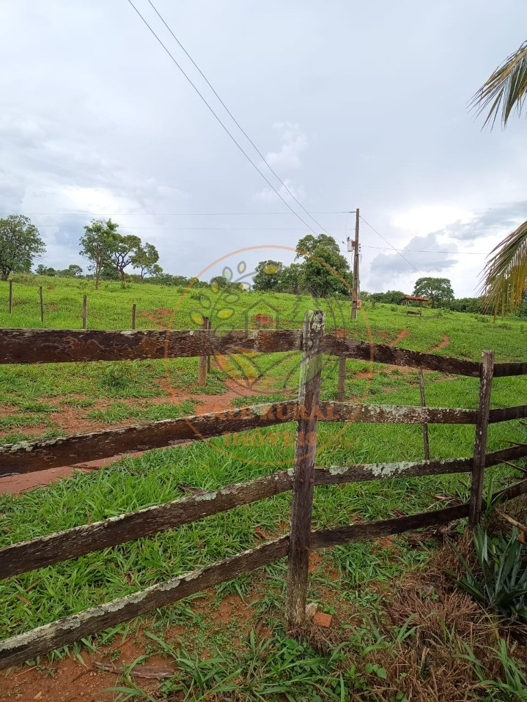 Fazenda - Foto 8